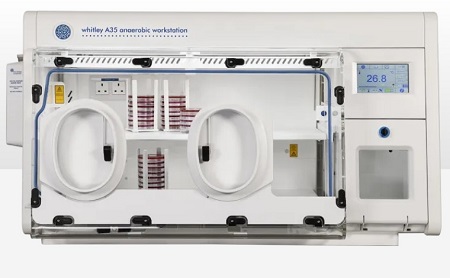 厌氧工作站A35满足在不暴露于大气氧气的情况下为处理样品-辅光仪器