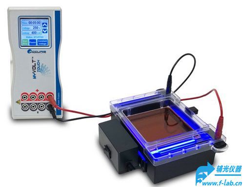 凝胶电泳观测仪instaview可观察凝胶电泳过程_运行DNA凝胶