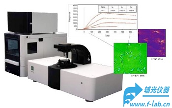 SPR成像显微镜是_SPR显微成像系统_表面等离子体共振显微镜SPRM适合无标记测量细胞binding结合活性与细胞动力学