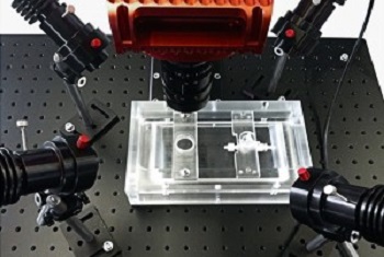 荧光宏观成像系统macroscopic imaging为心脏成像cardiac imaging而设计-辅光仪器