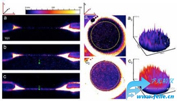 双分子层膜实验温控器_分子层膜温度控制器与游离脂质双层膜控制仪Ionovation Explorer联合使用